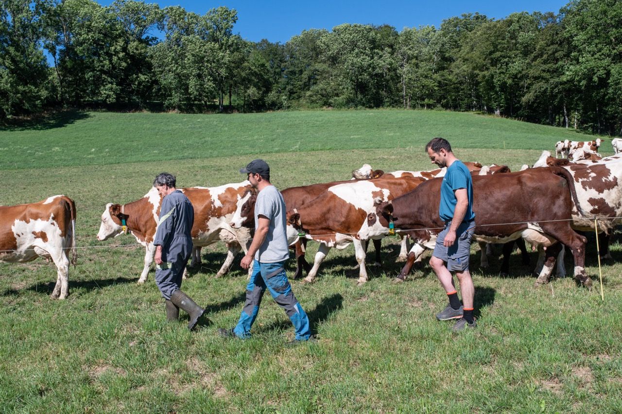 LA FERME DES BERTRAND