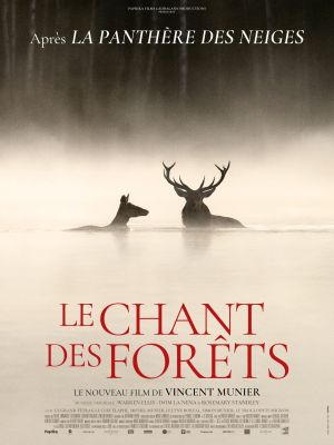 LE CHANT DES FORÊTS